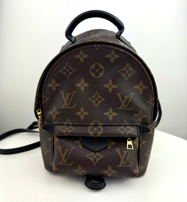 Louis Vuitton Palm Springs Mini backpack