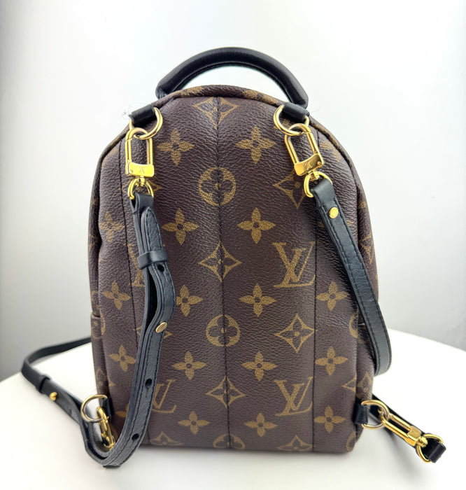 Louis Vuitton Palm Springs Mini backpack