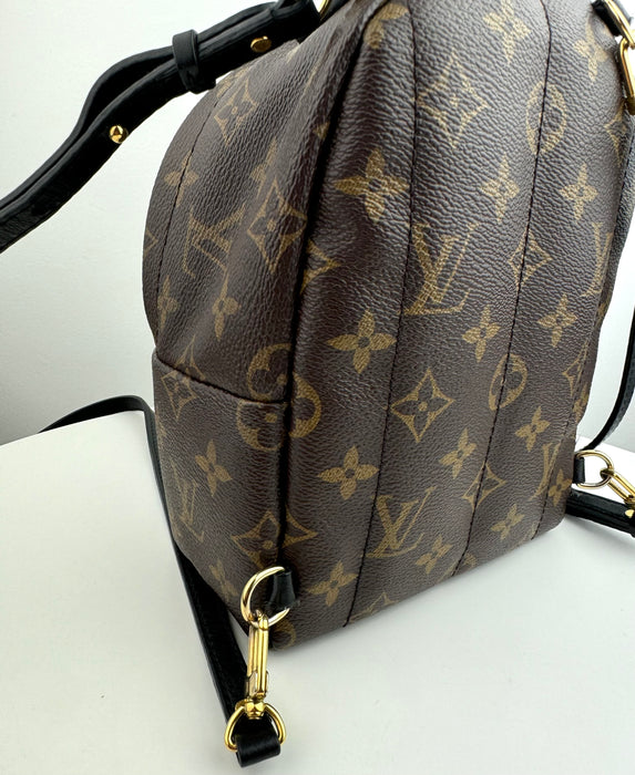 Louis Vuitton Palm Springs Mini backpack