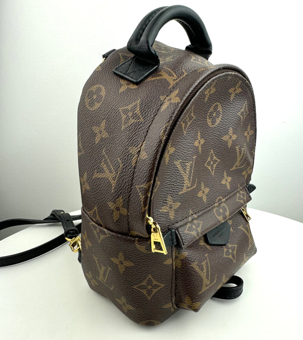 Louis Vuitton Palm Springs Mini backpack