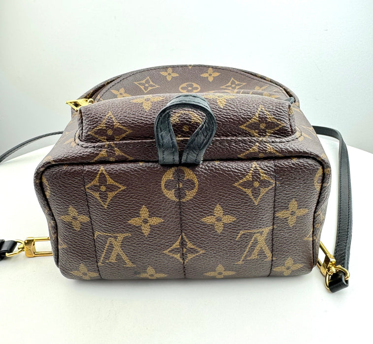 Louis Vuitton Palm Springs Mini backpack