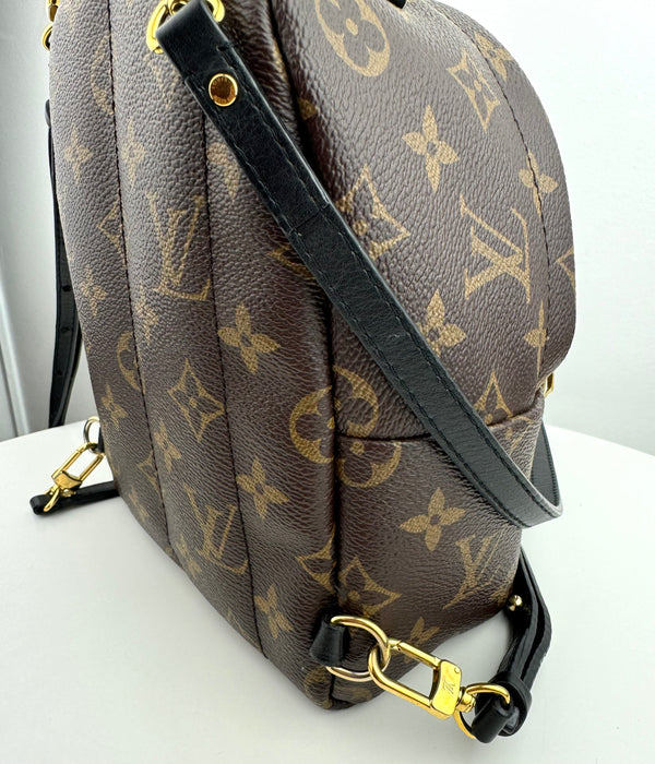 Louis Vuitton Palm Springs Mini backpack