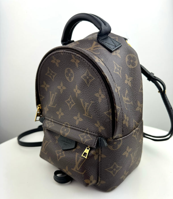 Louis Vuitton Palm Springs Mini backpack