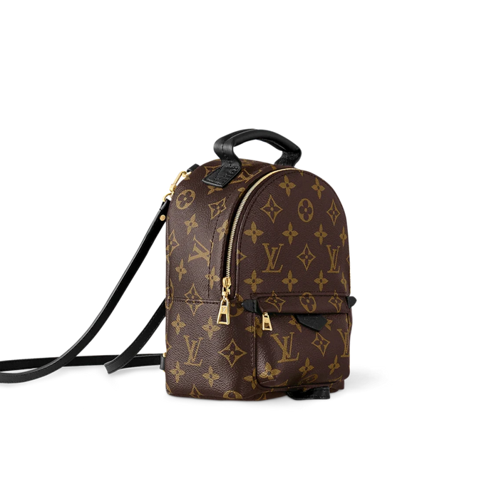 Louis Vuitton Palm Springs Mini backpack