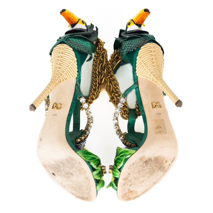 Dolce & Gabbana Leather Tropical Embellished Sandals